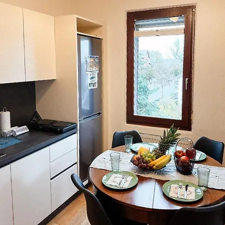 Sali Homes K39 Monte-Carlo -Spacious 6-Bedroom Apartment With Terrace And Garden Views In Bayreuth Ideal For Groups Exterior photo